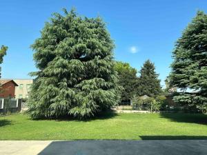 Zahrada ubytování Villa 1