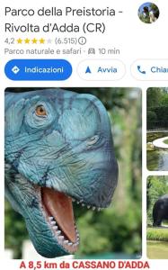 Zvířata v apartmánu nebo okolí