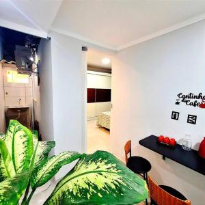 a living room with a table and a green plant at Casa aconchegante no centro de Remanso in Remanso