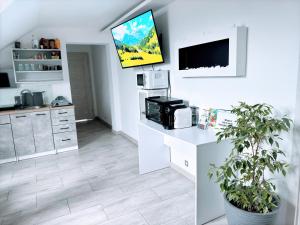 Kuchnia lub aneks kuchenny w obiekcie Farma IT