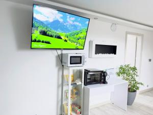 telewizor z płaskim ekranem wiszący na ścianie w pokoju w obiekcie Farma IT w mieście Jamielnik