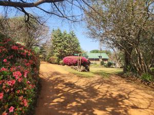 Zahrada ubytování Country Cottage + 7 fotografií