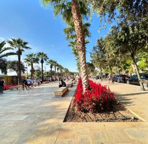 Foto dalla galleria di Seaview Sliema 30 seconds to High Street & Ferry, 2x Double En-suite Bedrooms, Modern Whole Traditional Townhouse, Kitchen, Living Area, & Roof Terrace a Sliema