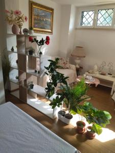 a living room with plants on shelves and a bed at Fiera di Roma B&B in Ponte Galeria