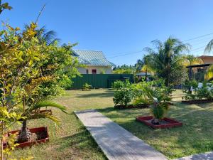 Zahrada ubytování Blue Sky Self Catering
