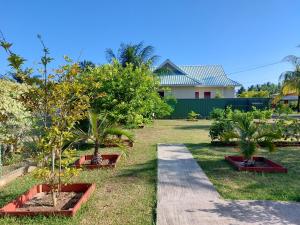Zahrada ubytování Blue Sky Self Catering