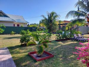 Zahrada ubytování Blue Sky Self Catering