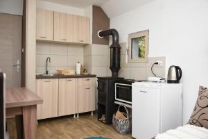 a kitchen with a stove and a refrigerator at Vikendica Čeperković #2 in Kopaonik
