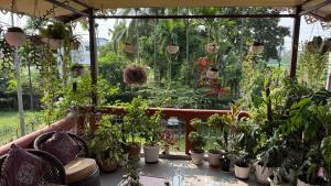 a greenhouse filled with lots of potted plants at Newa House Homestay in Siliguri +13 photos