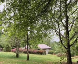 Zahrada ubytování Bramber Cottage Hogsback, Living With Joy!