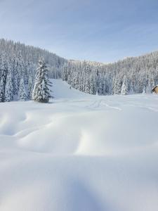 Obiekt Ferienhaus Schäfer - Apartments - Wintersports - Family holiday - Holiday with your dog - Rural & Scenic zimą