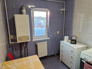 Afbeelding uit fotogalerij van Apartment Eleven in Tîrgu Ocna