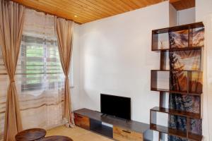 Μια τηλεόραση ή/και κέντρο ψυχαγωγίας στο Alpina Haus