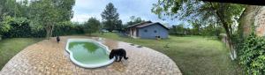 a dog standing next to a bath tub in a yard at Sítio recanto da Felicidade in Gravataí +7 photos