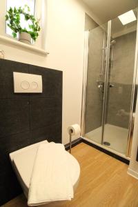 a bathroom with a shower and a toilet in it at La Bella Vita in Emden