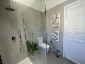 a bathroom with a toilet and a glass shower at Sangue blu - apartments in Catania +27 photos