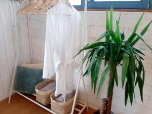 a white shirt hanging on a rack next to a plant at Nature Circuit Francorchamps in Stavelot