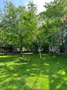 a picnic table in a yard with trees and grass at Hotel Latif Samarkand in Samarkand