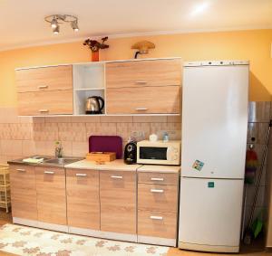 Kuchyň nebo kuchyňský kout v ubytování Green Lake Airport Apartments