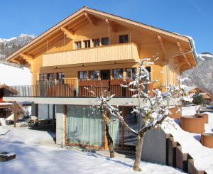 Chalet Park Apartment mit Sauna Hamam v zimě