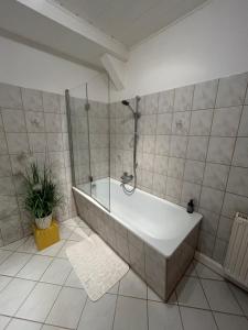 a bathroom with a tub and a potted plant at Stadtflair am Portikus in Lichtenstein-Callnberg +22 photos