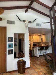 a antelope head on the wall of a living room at La Kolina Reserve in Ponce