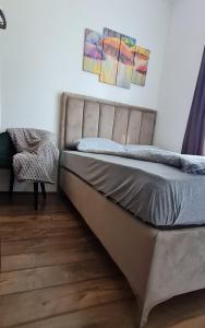 a bedroom with a bed and a chair and paintings at Apartman Djurdja in Divčibare