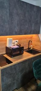 a kitchen with a counter with a sink and aounter at Apartman Djurdja in Divčibare