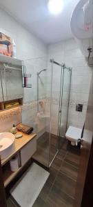 a bathroom with a shower and a toilet and a sink at Apartman Djurdja in Divčibare