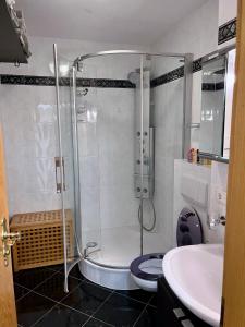 a bathroom with a shower and a toilet and a sink at Casa Banniza in Wolfratshausen