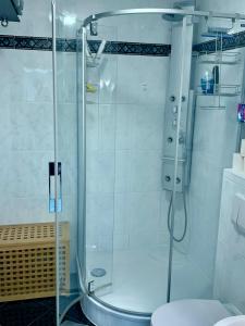 a bathroom with a shower and a toilet at Casa Banniza in Wolfratshausen +49 photos