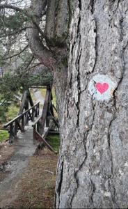 a heart painted on the side of a tree at Apartman Djurdja in Divčibare