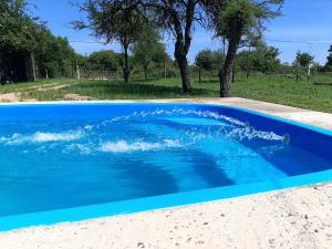 a pool of blue water in a yard at Los Cardos in Concepción del Uruguay
