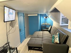 un salon avec un canapé et une télévision dans l'établissement LA PERLE APPART - PLEIN CENTRE VILLE Orléans, à Orléans