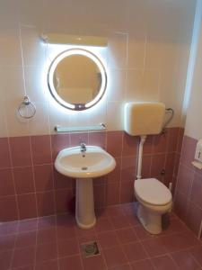 a bathroom with a sink and a toilet and a mirror at Moj kutak in Vrnjci