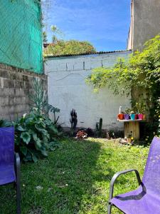 a garden with a purple chair and a wall at Cabaña soles in Manuel Alberti