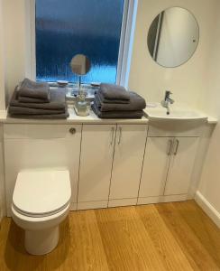 a bathroom with a toilet and a sink and a mirror at Balmanach Court in Beauly