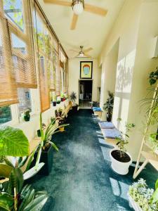 a room filled with lots of potted plants at Communa Good Vibes in Tbilisi City