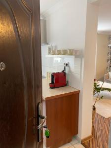 a kitchen with a toaster on a counter next to a door at Apartament na Starówce VI in Pszczyna +9 photos