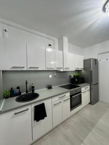 Kuchyňa alebo kuchynka v ubytovaní Picúr és Manó Apartmanja