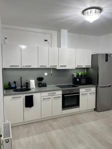Kuchyňa alebo kuchynka v ubytovaní Picúr és Manó Apartmanja