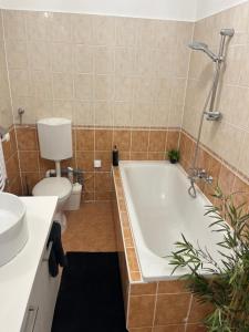 Kúpeľňa v ubytovaní Picúr és Manó Apartmanja