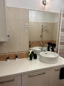Koupelna v ubytování Picúr és Manó Apartmanja + 7 fotografií