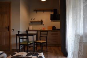 Kuchyň nebo kuchyňský kout v ubytování Hotel Mergera