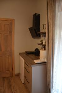 Kuchyň nebo kuchyňský kout v ubytování Hotel Mergera