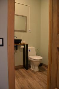 Koupelna v ubytování Hotel Mergera