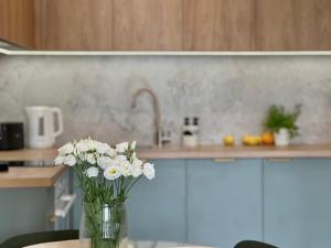 Kuchyň nebo kuchyňský kout v ubytování 4SUMMER PALM TREE Perłowa Przystań Parking, 650m do plaży, 650 Meter zum Strand