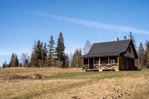 Mokosz في PyzÃ³wka: كابينة خشب على تلة في ميدان