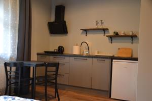 Kuchyň nebo kuchyňský kout v ubytování Hotel Mergera