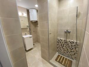 a shower with a glass door in a bathroom at Svetao stan sa terasom blizu Ade - Casa 29 in Čukarica